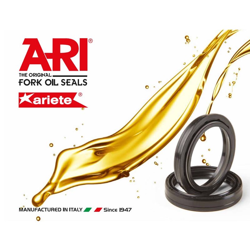 ARI Pölytiiviste, 45 x 57,5/62 x 6/13