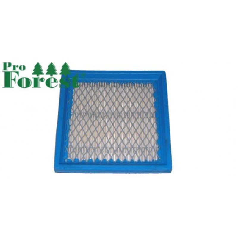 ProForest Ilmansuodatin Briggs & Stratton #399877S