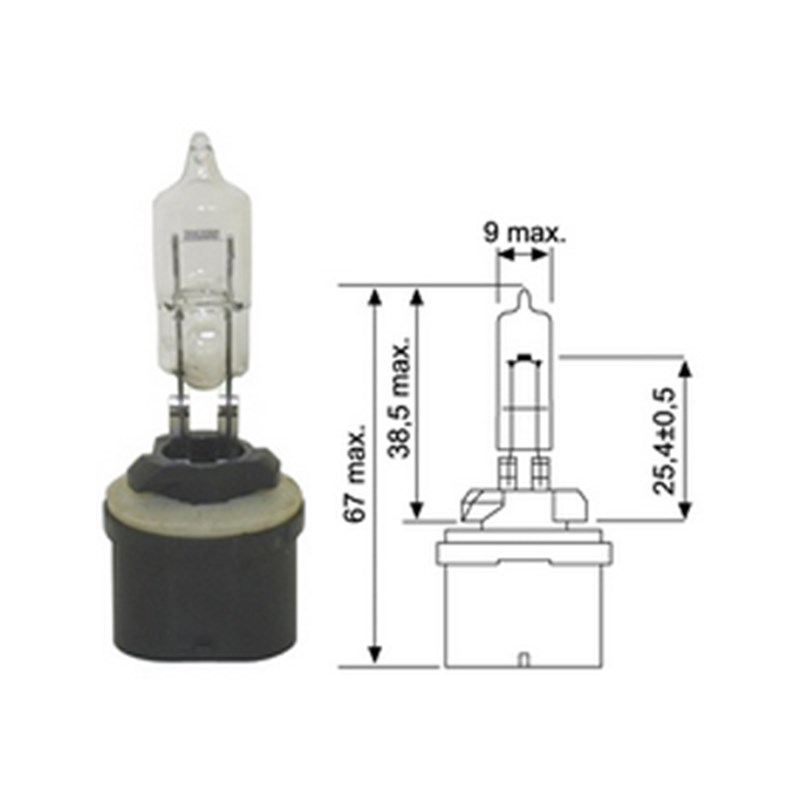Polttimo 12V/50W
