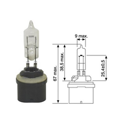 Polttimo 12V/50W
