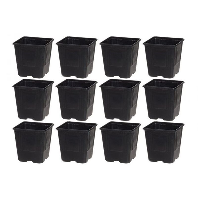 4Living Taimiruukku 11 cm 12 kpl