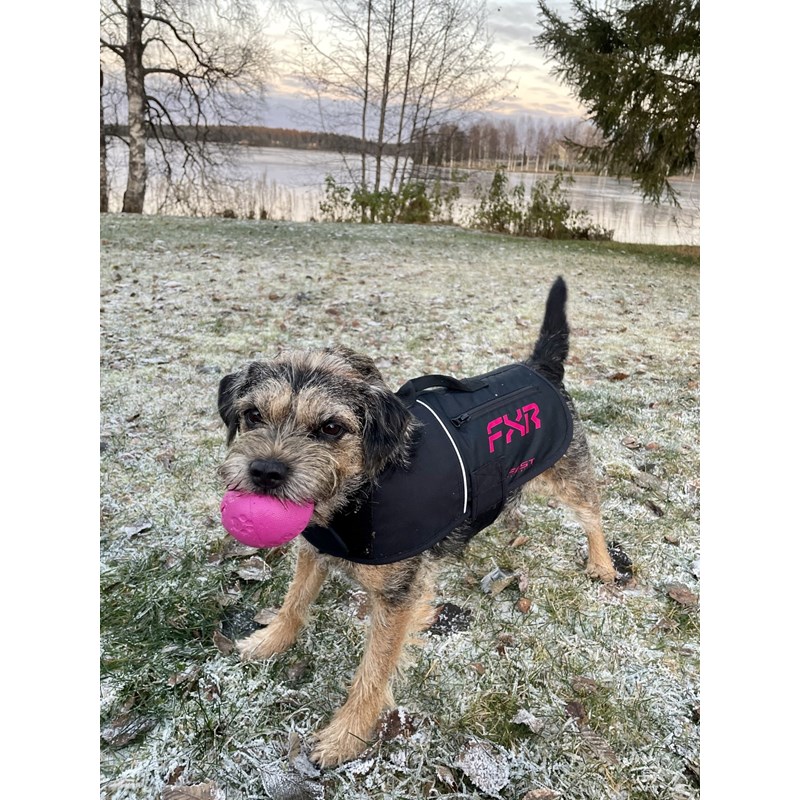 CX Dog Coat S Black/Razz