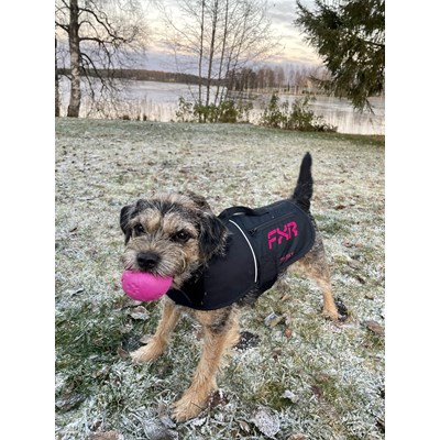 CX Dog Coat S Black/Razz