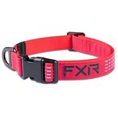 Dog Collar L Razz/Black
