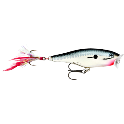 Skitter Pop 05 5cm/7g CH