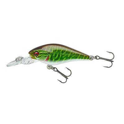 PX BABY CRANK 40MR LIVE PIKE