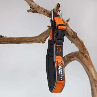 Non-Stop Roam Collar -panta (2XL, oranssi)