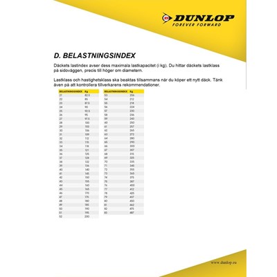Dunlop F20 110/90-18 61V TL F20 WLT Fr Moottoripyörärengas
