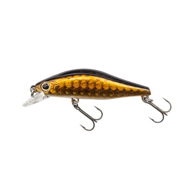 Daiwa Tournamnet Wise Minnow 50FS Viehe, Gold Lens